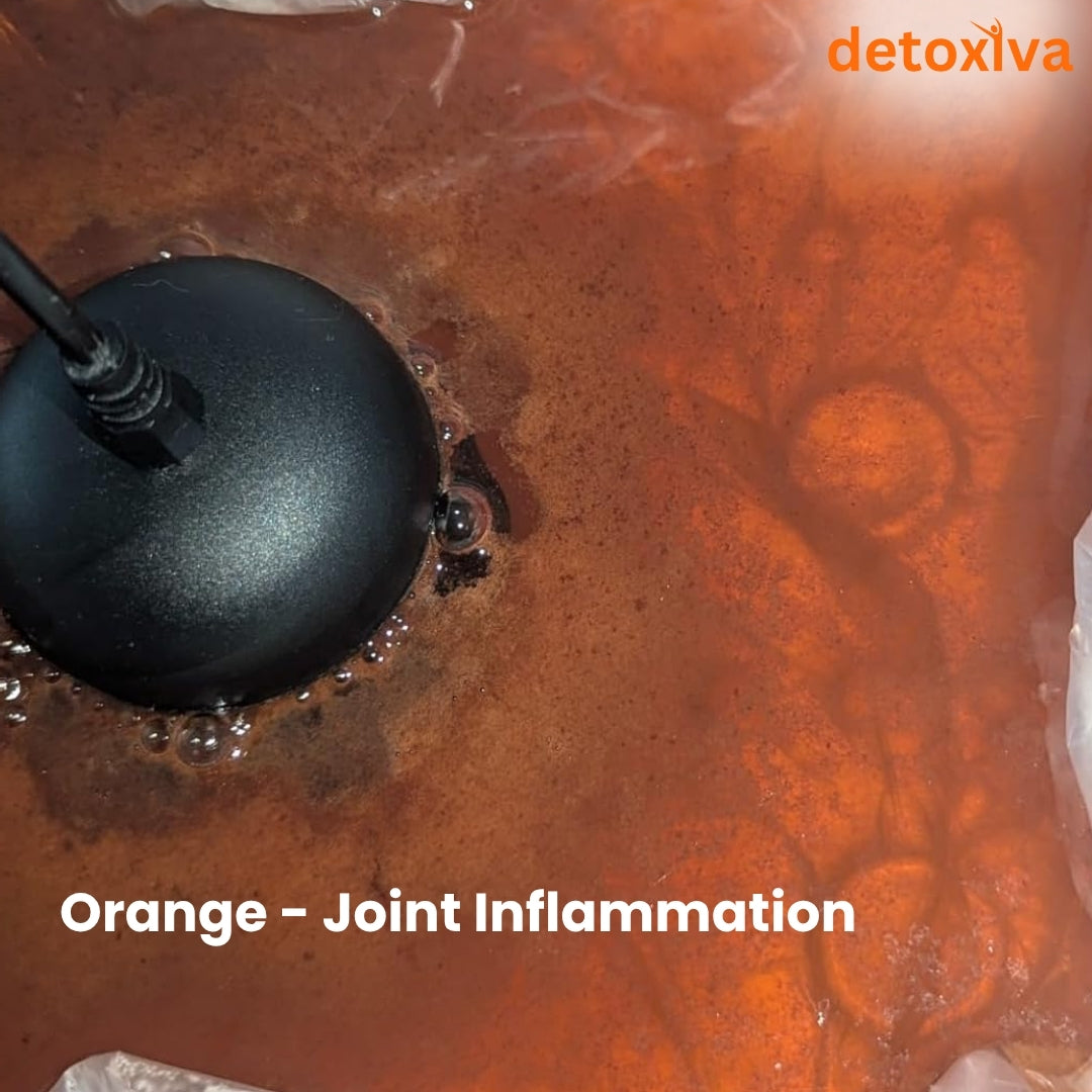 Detoxiva Ionic Foot Bath