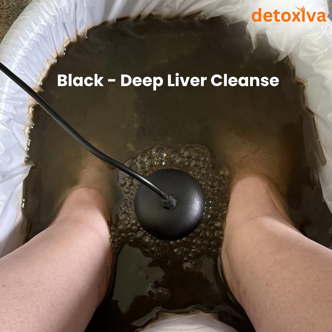 Detoxiva Ionic Foot Bath