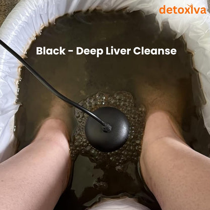 Detoxiva Ionic Foot Bath