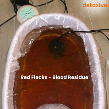 Detoxiva Ionic Foot Bath