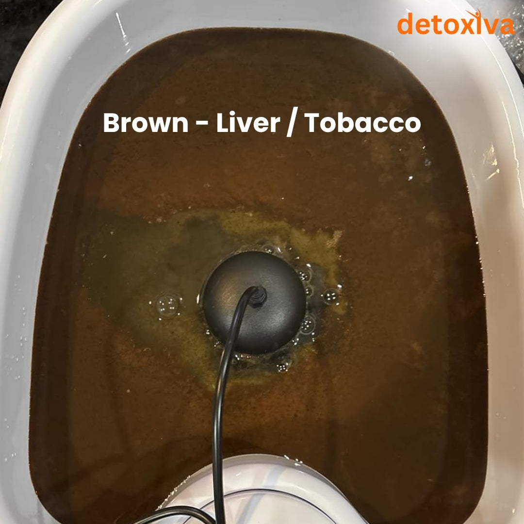 Detoxiva Ionic Foot Bath