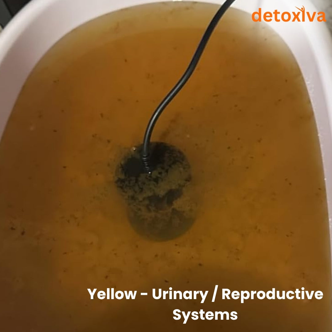 Detoxiva Ionic Foot Bath