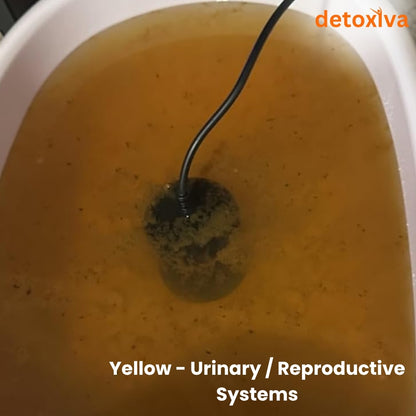 Detoxiva Ionic Foot Bath