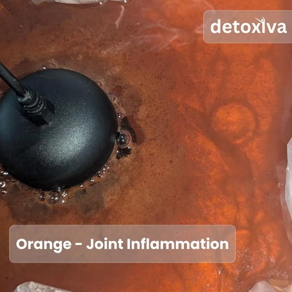 Detoxiva Ionic Foot Spa