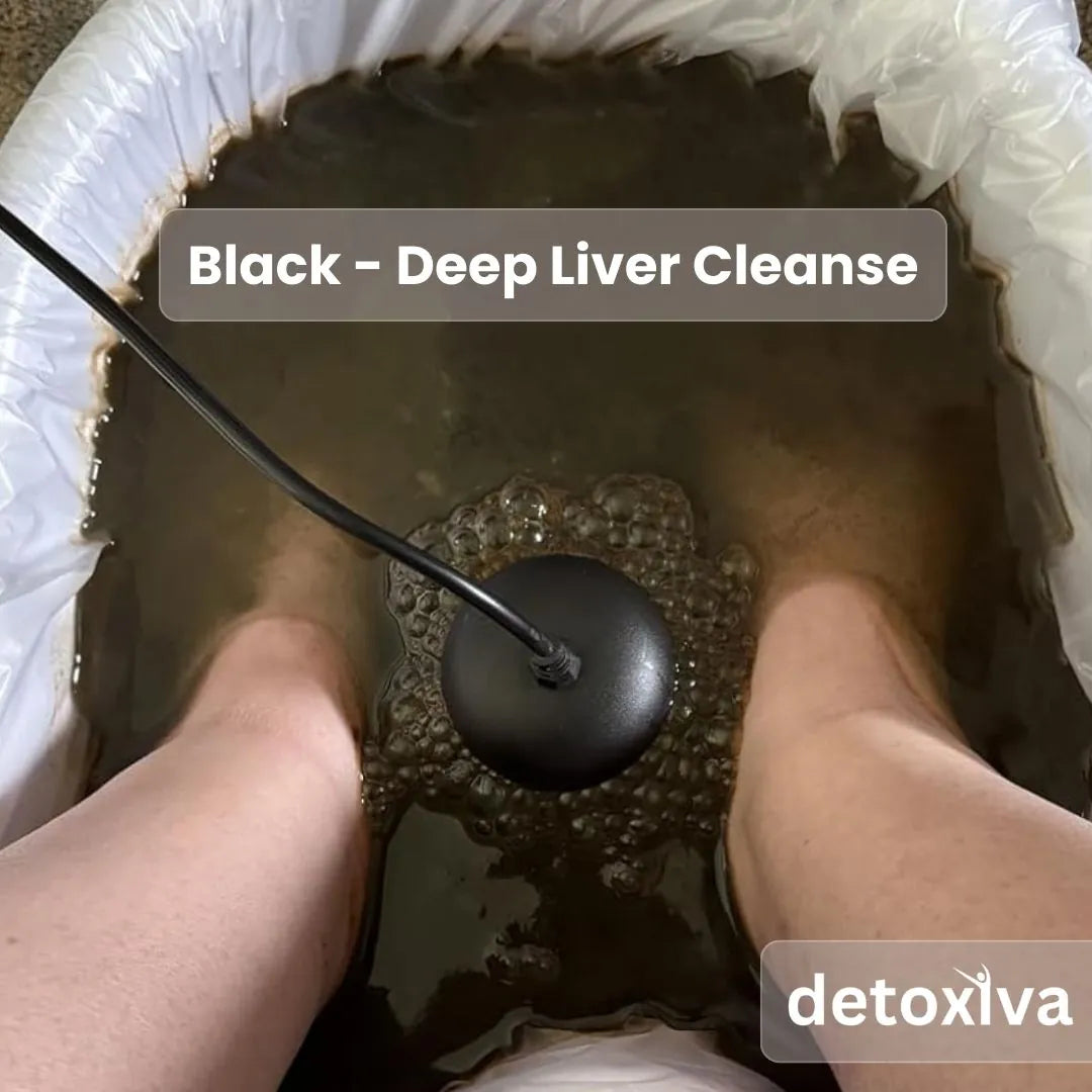 Detoxiva Ionic Foot Spa