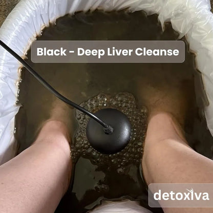 Detoxiva Ionic Foot Spa