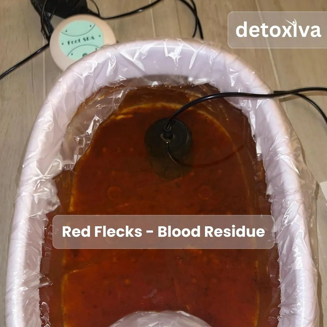 Detoxiva Ionic Foot Spa