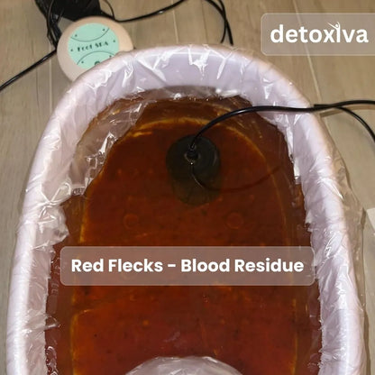 Detoxiva Ionic Foot Spa