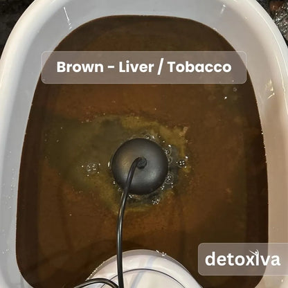 Detoxiva Ionic Foot Spa