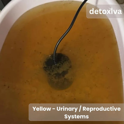Detoxiva Ionic Foot Spa