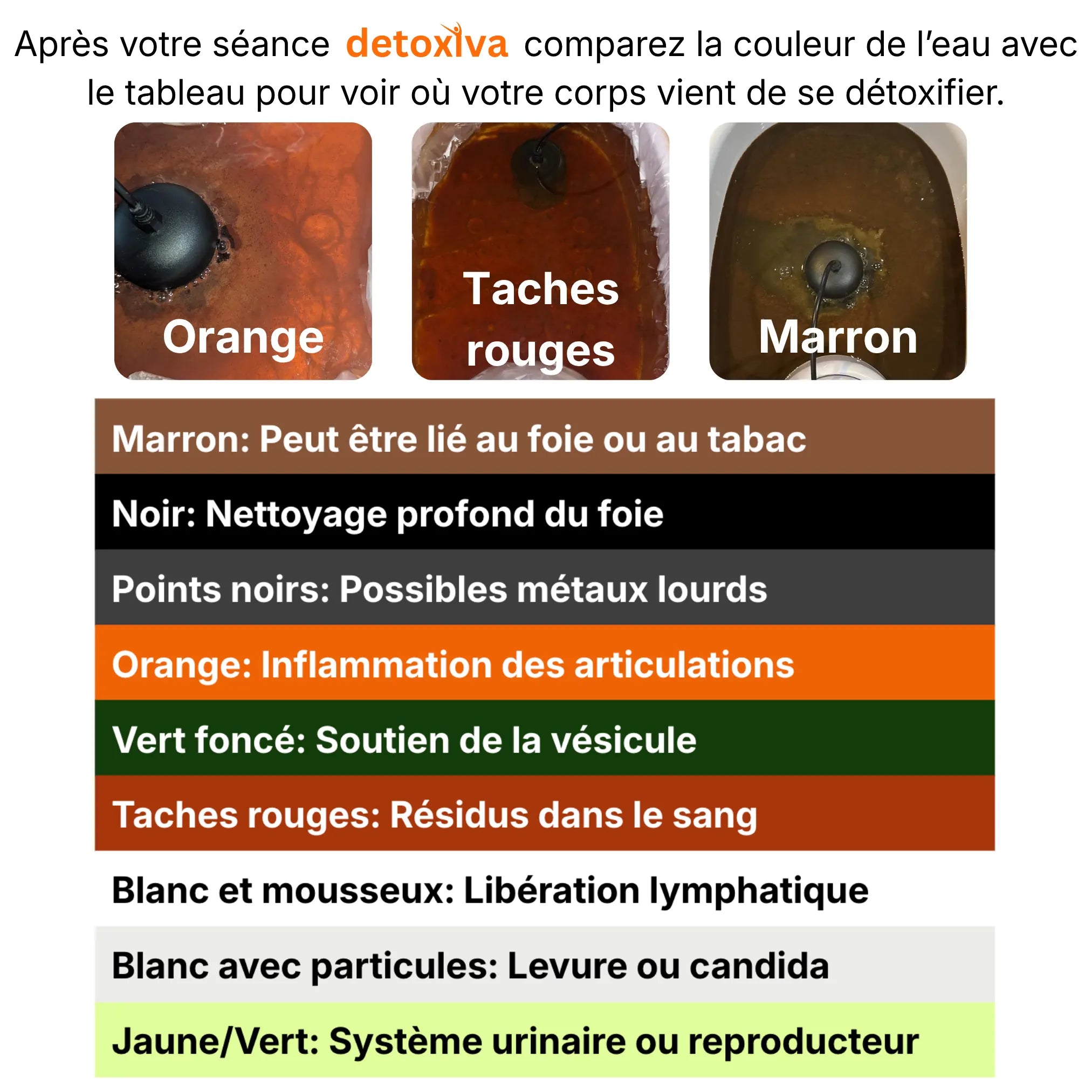 Signification des couleurs de l'eau Detoxiva
