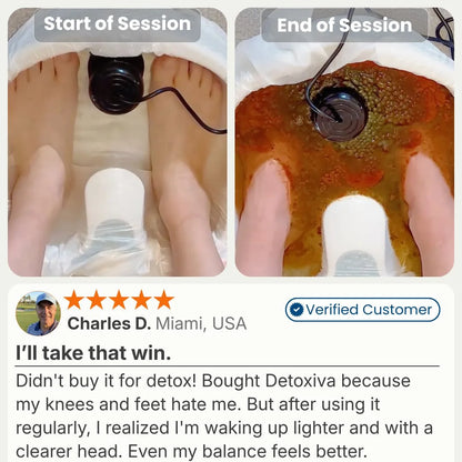 Detoxiva Ionic Foot Spa