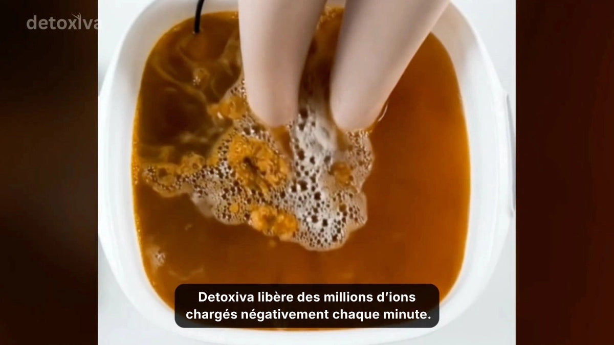 Charger la vidéo : 