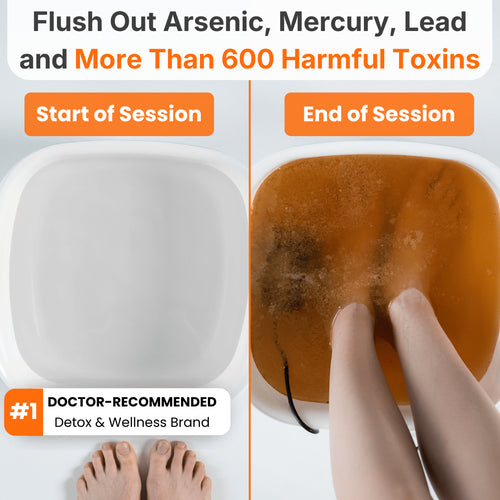 Detoxiva Ionic Foot Spa