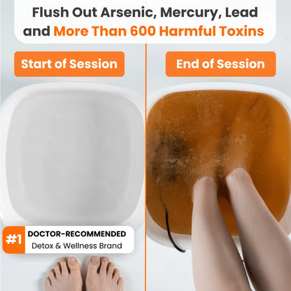 Detoxiva Ionic Foot Spa