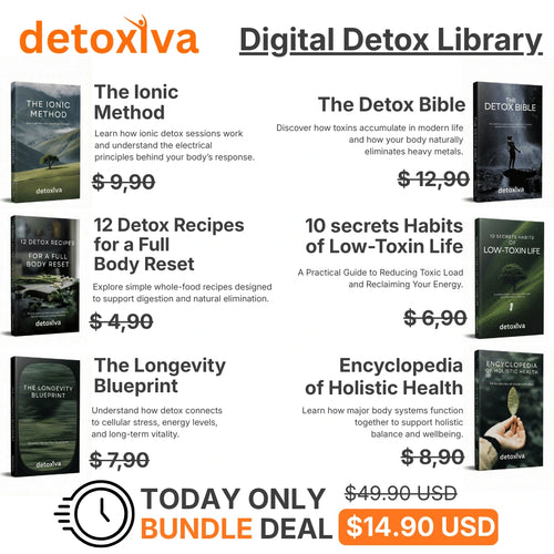 Detoxiva Digital Detox Bibliothek