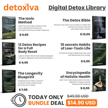 Detoxiva Ionic Foot Spa