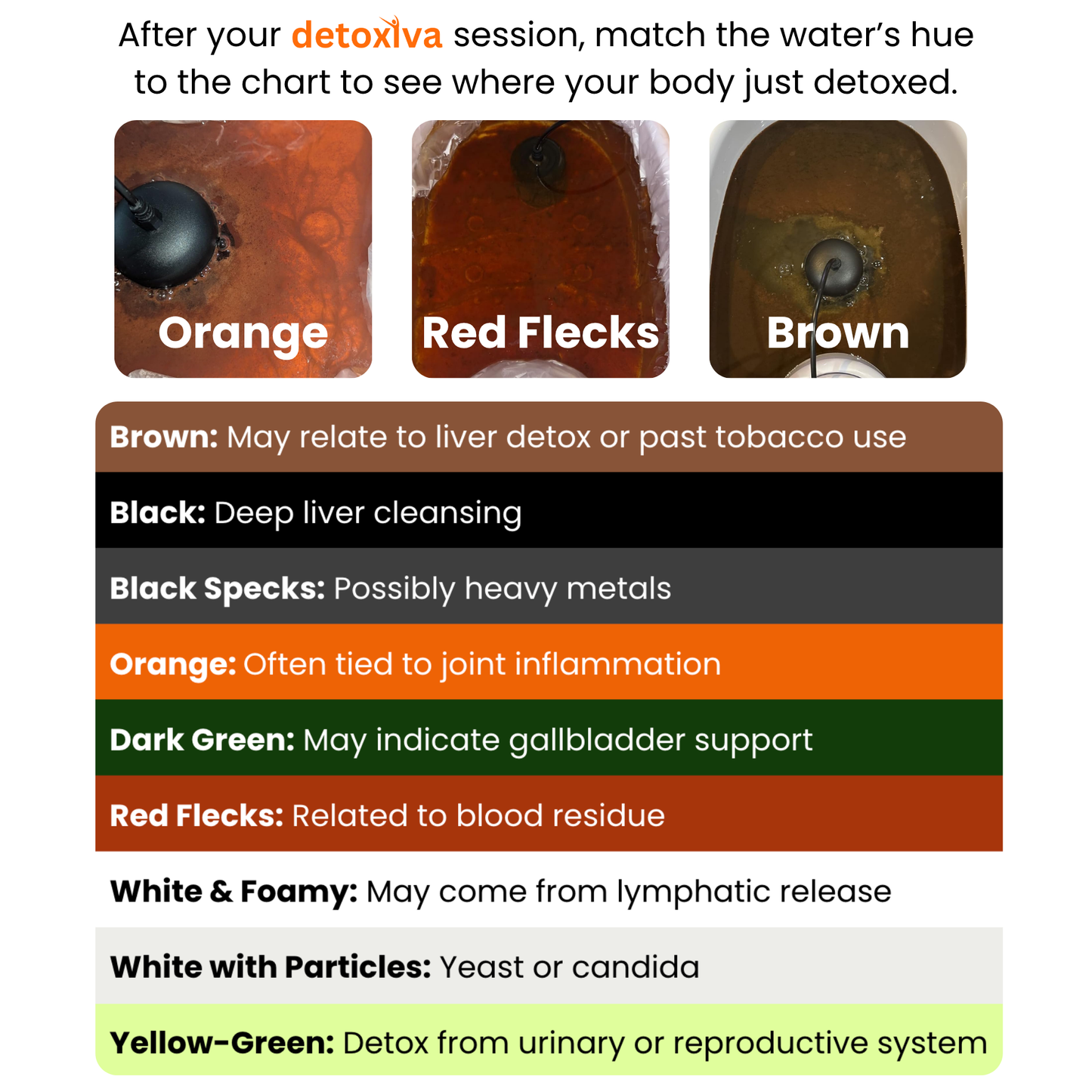Detoxiva Ionic Foot Bath