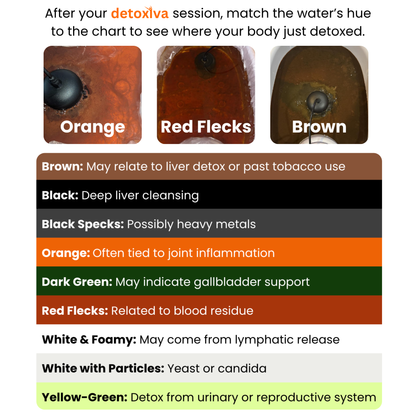 Detoxiva Ionic Foot Bath