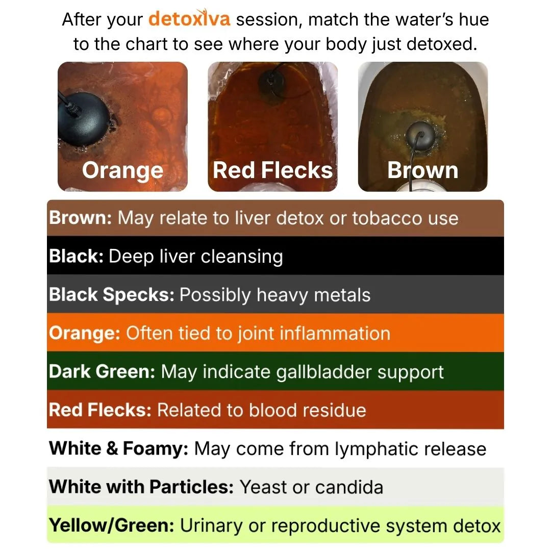 Detoxiva Ionic Foot Spa