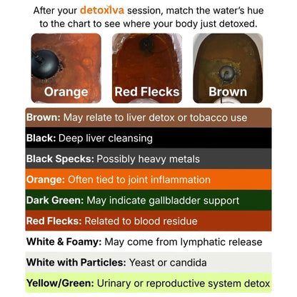 Detoxiva Ionic Foot Spa